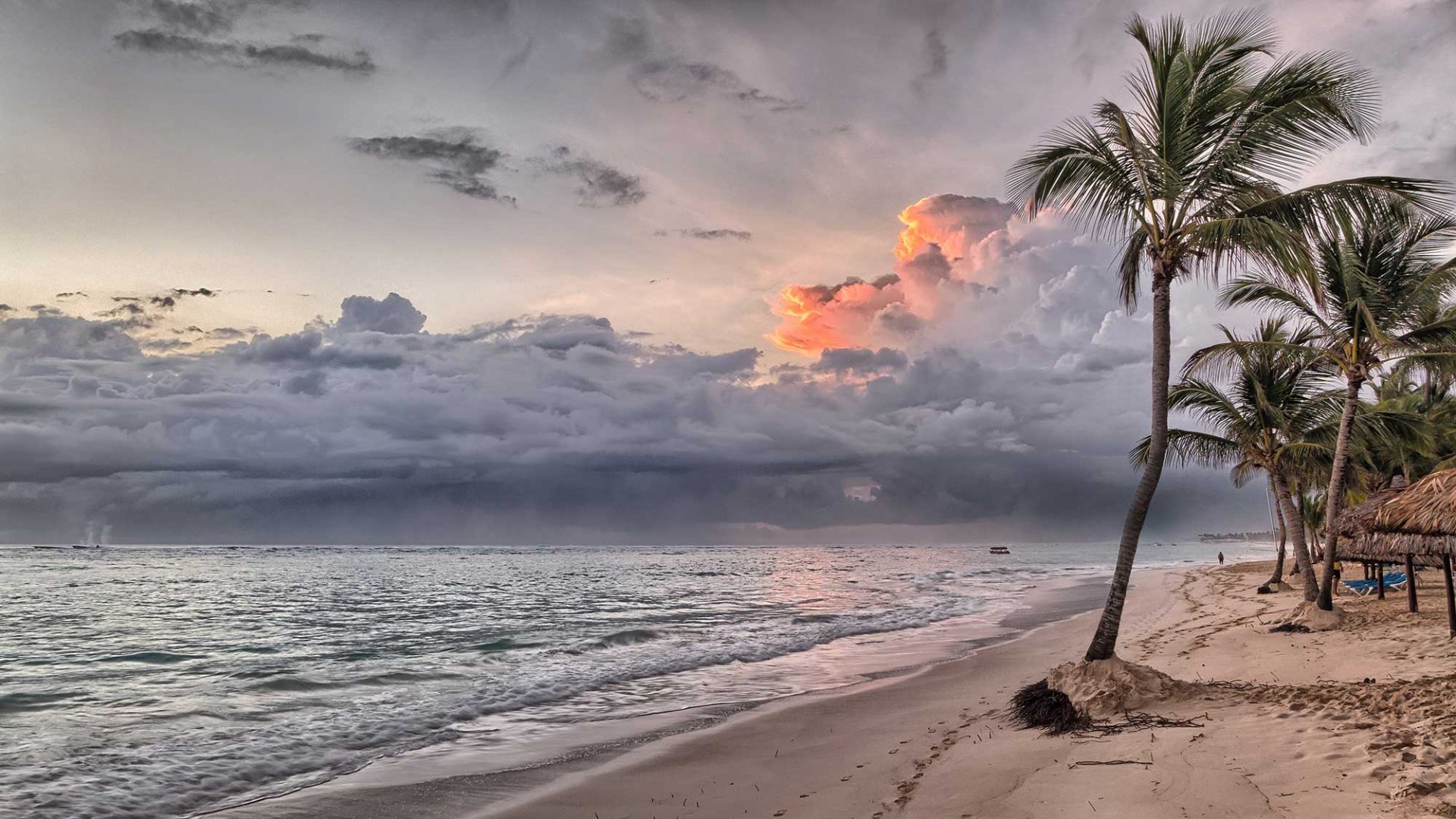 Carbon Offset Holidays